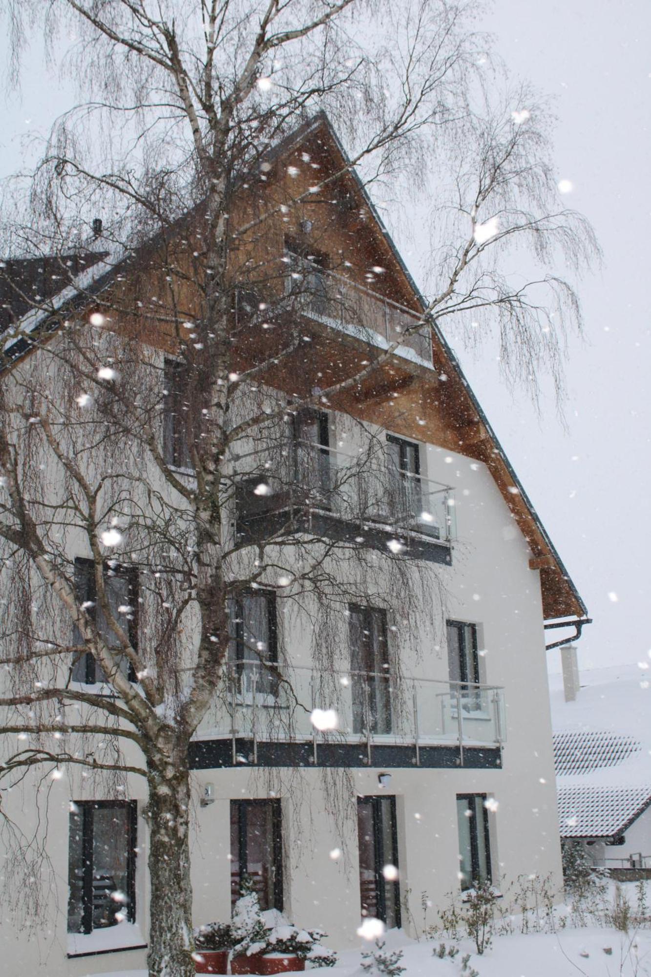 Snowcat * Abertamy